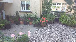 Brambles Bed And Breakfast fotoÄŸrafÄ±
