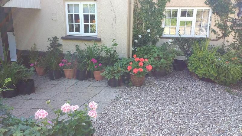 Brambles Bed And Breakfast - Genel