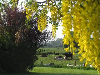 The Moorhead Bed & Breakfast fotoÄŸrafÄ±