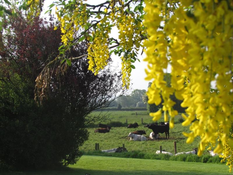 The Moorhead Bed & Breakfast - Genel