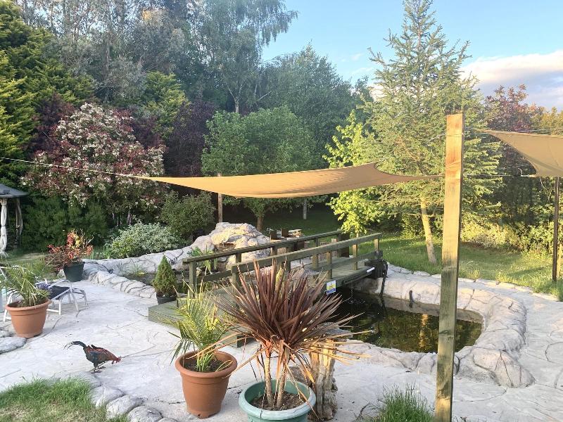 Woodpaddock B&B - Genel