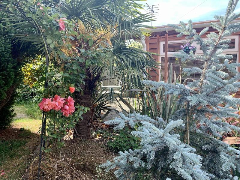 Woodpaddock B&B - Genel