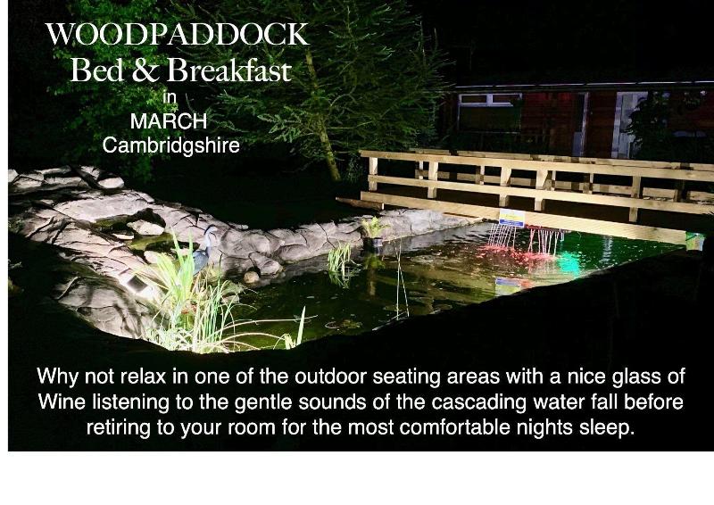 Woodpaddock B&B - Genel