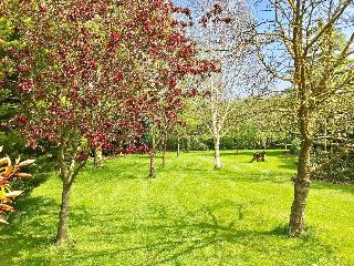 Woodpaddock B&B fotoÄŸrafÄ±