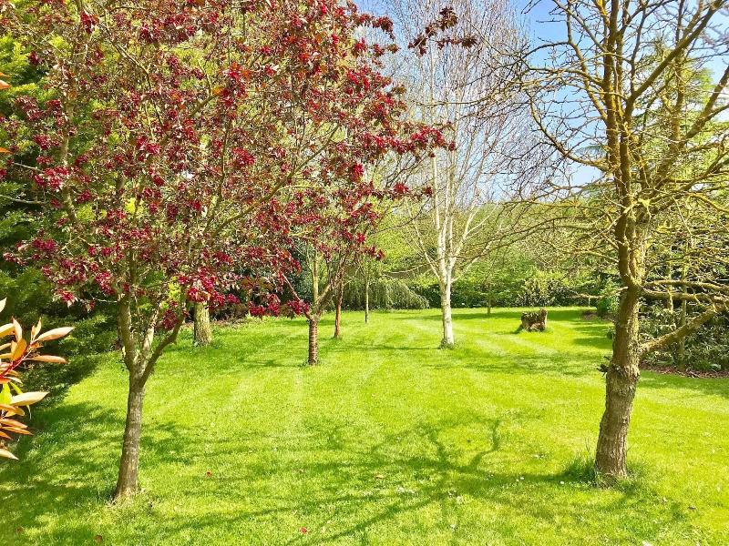 Woodpaddock B&B - Genel