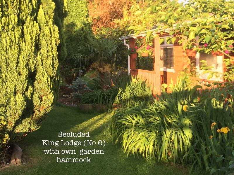 Woodpaddock B&B - Genel