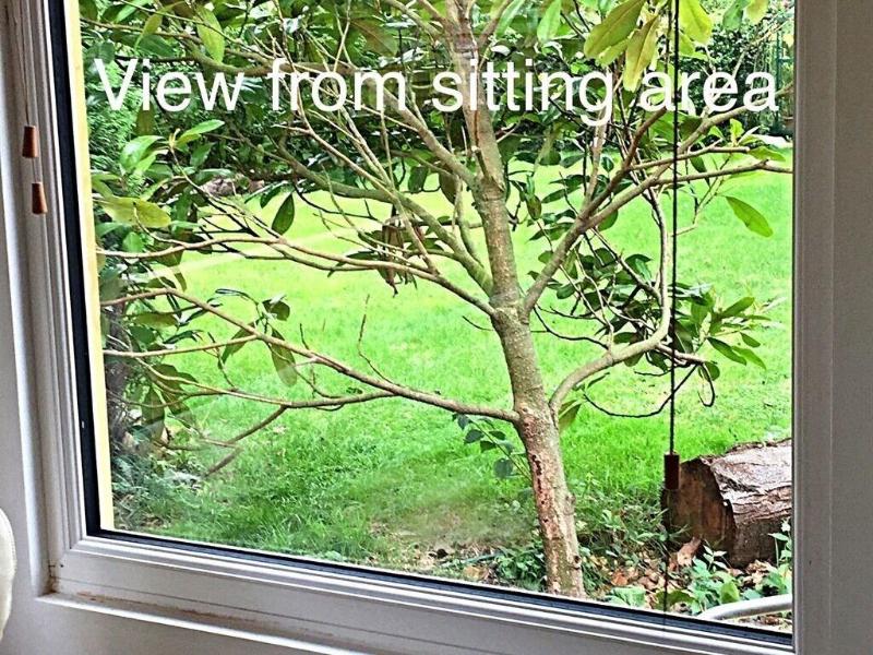 Woodpaddock B&B - Genel