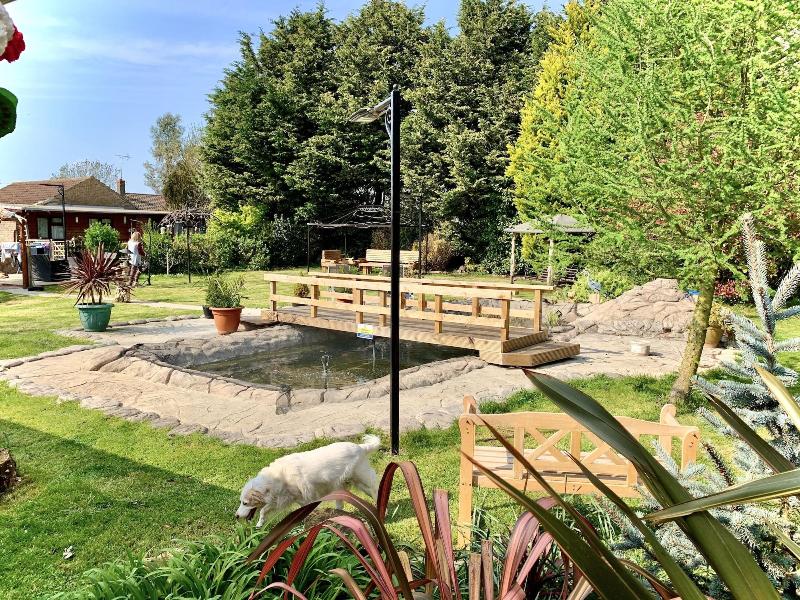 Woodpaddock B&B - Genel