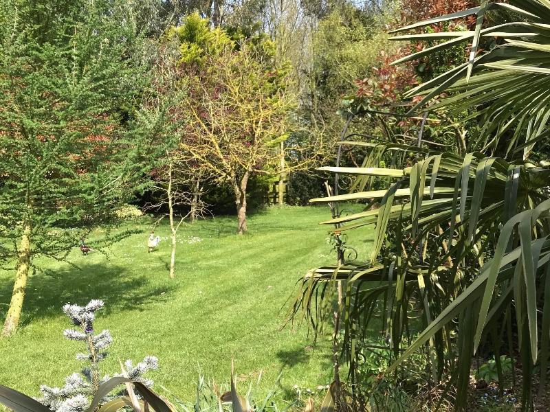 Woodpaddock B&B - Oda