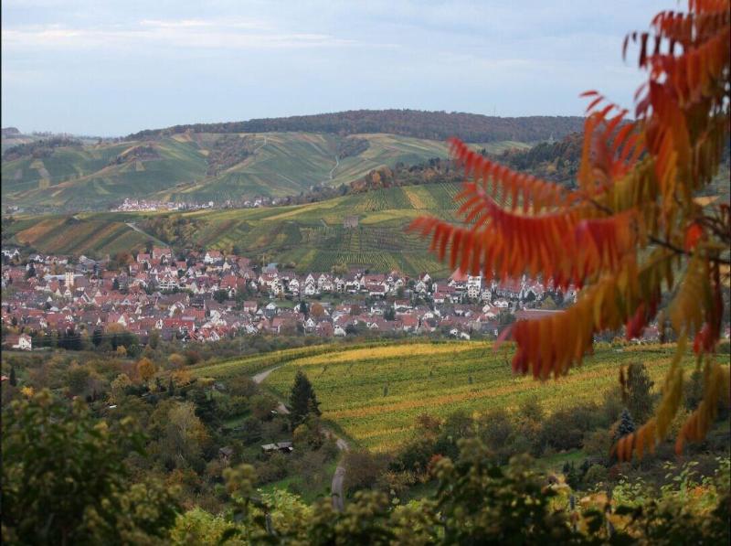 Gästehaus Schlegel - Oda