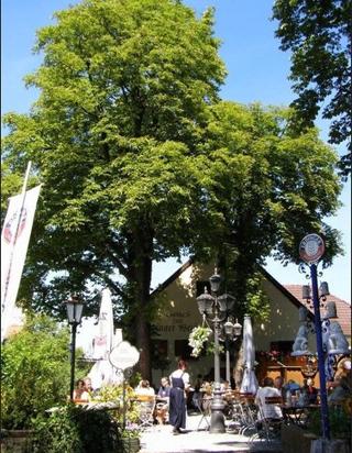 Hotel & Gaststätte zum Erdinger Weißbräu fotoÄŸrafÄ±