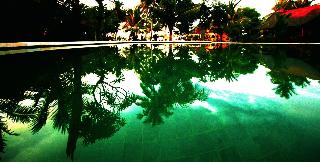 Mina Tanjung Hotel fotoÄŸrafÄ±