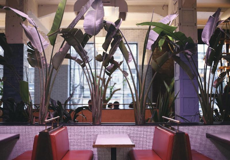 Stamba Hotel - Aktivite