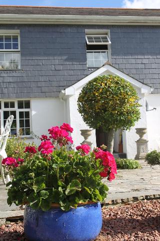 Treweens Bed & Breakfast fotoÄŸrafÄ±