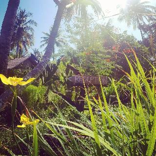 Rinjani Beach Eco Resort fotoÄŸrafÄ±