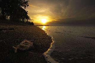 Rinjani Beach Eco Resort fotoÄŸrafÄ±