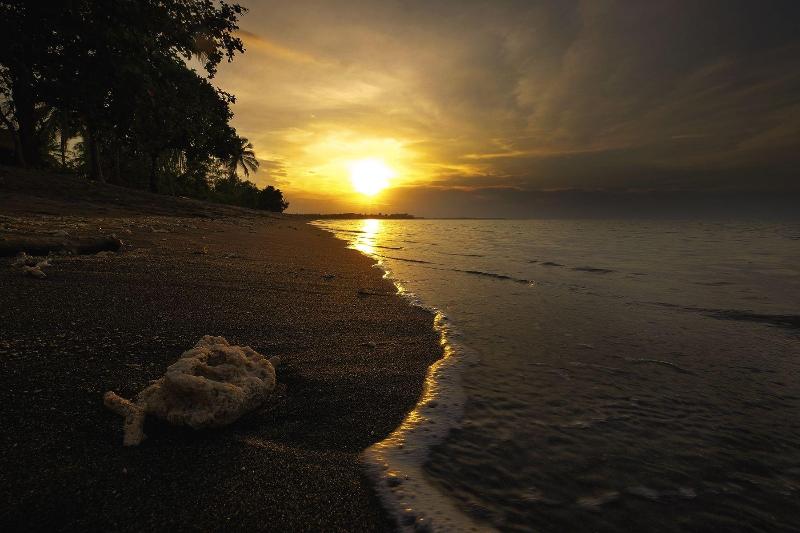 Rinjani Beach Eco Resort - Genel