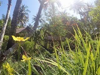 Rinjani Beach Eco Resort fotoÄŸrafÄ±
