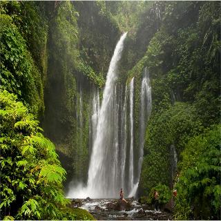 Rinjani Beach Eco Resort fotoÄŸrafÄ±