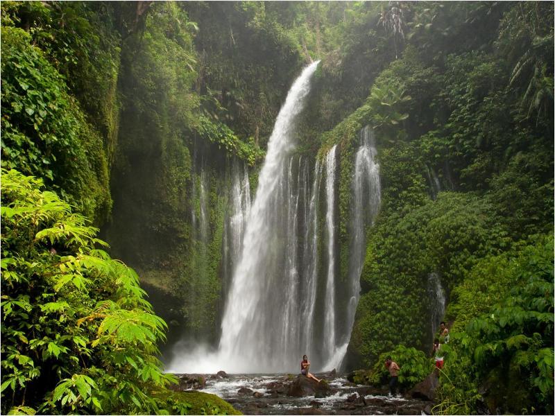 Rinjani Beach Eco Resort - Genel