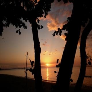 Rinjani Beach Eco Resort fotoÄŸrafÄ±