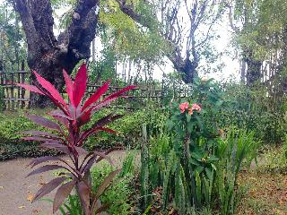 Rinjani Beach Eco Resort fotoÄŸrafÄ±