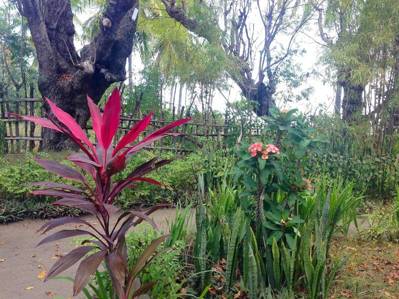 Rinjani Beach Eco Resort - Genel