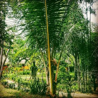 Rinjani Beach Eco Resort fotoÄŸrafÄ±