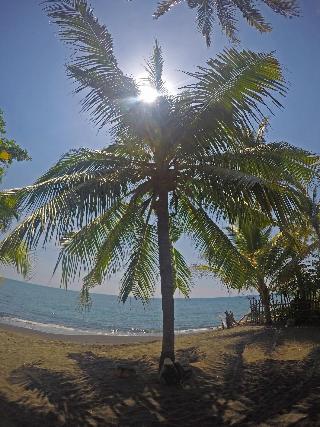 Rinjani Beach Eco Resort fotoÄŸrafÄ±