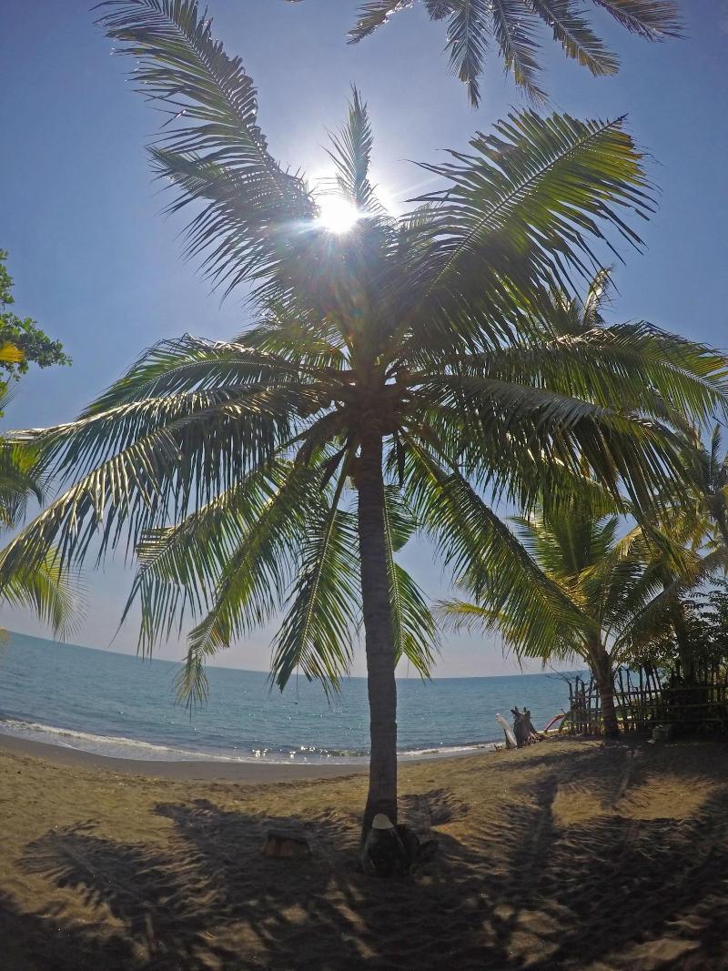 Rinjani Beach Eco Resort - Plaj