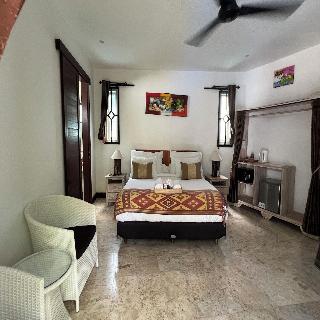 Villa Collard fotoÄŸrafÄ±