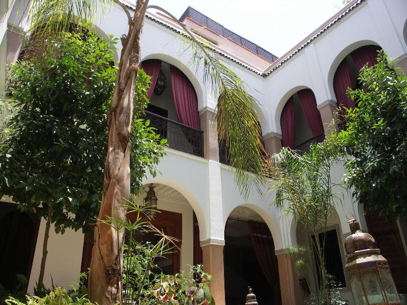 Riad Elnoujoum - Genel