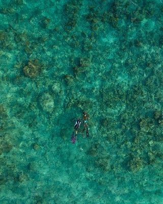 Kamadhoo Inn fotoÄŸrafÄ±