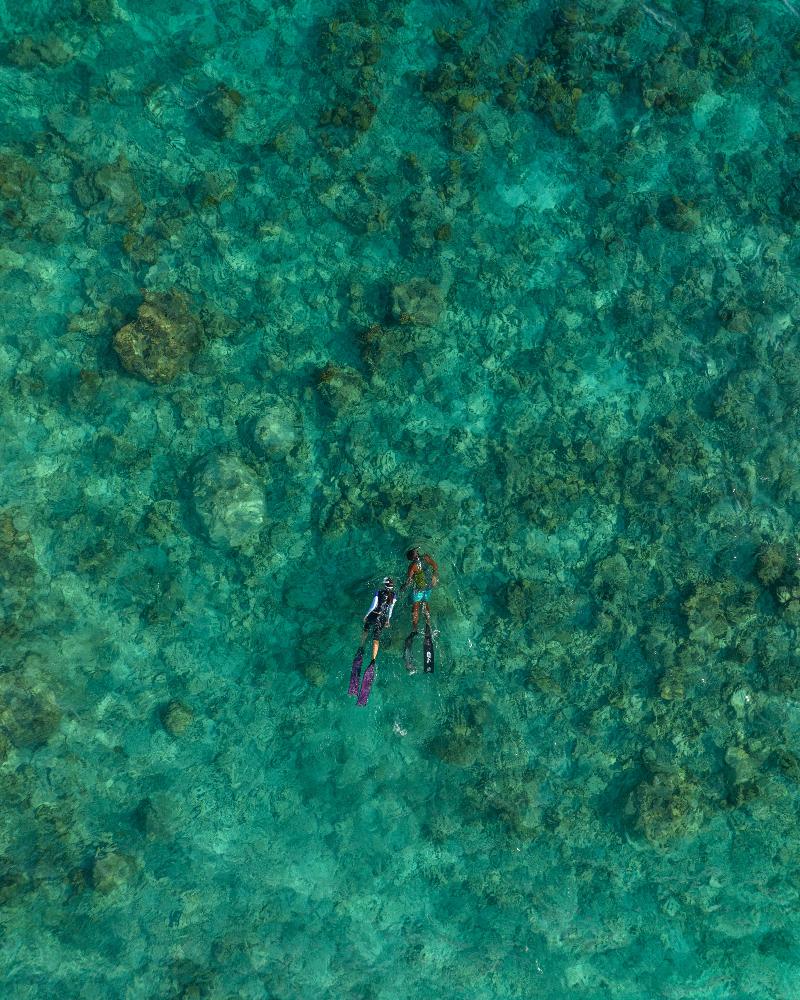 Kamadhoo Inn - Aktivite
