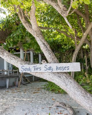Kamadhoo Inn fotoÄŸrafÄ±