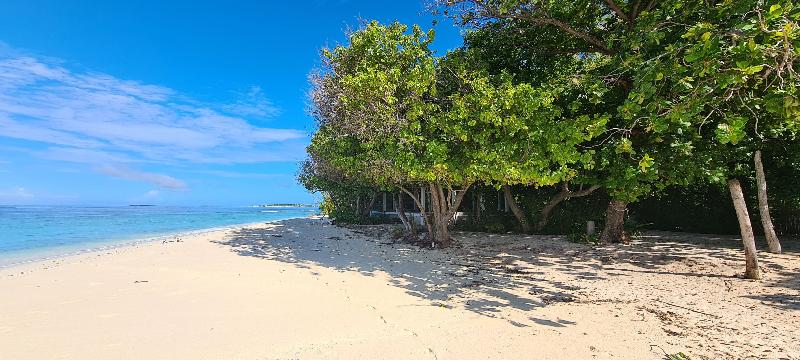 Kamadhoo Inn - Plaj