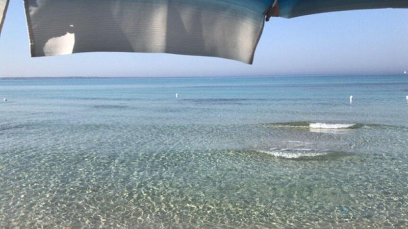 Le Suite Del Dormiglione - Genel