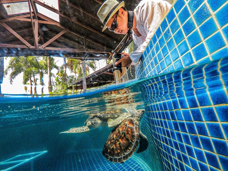 JW Marriott Phuket Resort & Spa - Aktivite