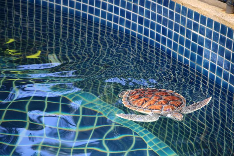JW Marriott Phuket Resort & Spa - Aktivite