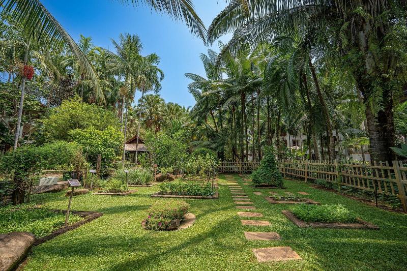JW Marriott Phuket Resort & Spa - Genel