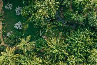 JW Marriott Phuket Resort & Spa fotoÄŸrafÄ±