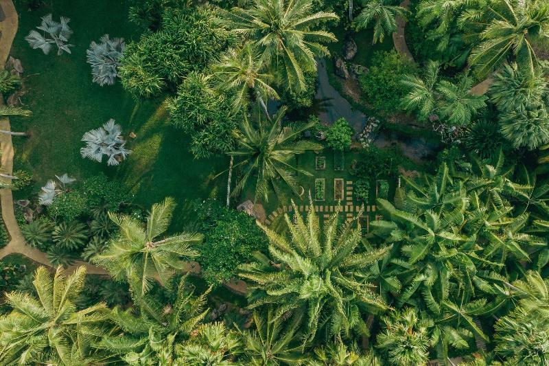 JW Marriott Phuket Resort & Spa - Genel