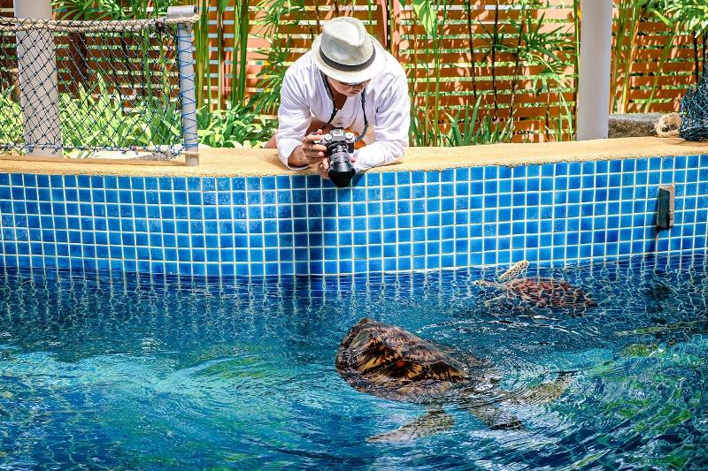 JW Marriott Phuket Resort & Spa - Genel