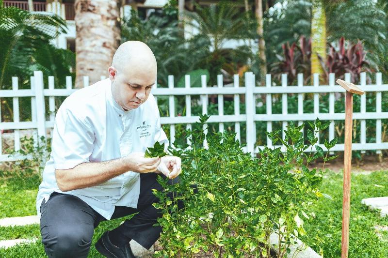 JW Marriott Phuket Resort & Spa - Teras