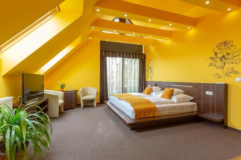 Hotel Mayer - Oda