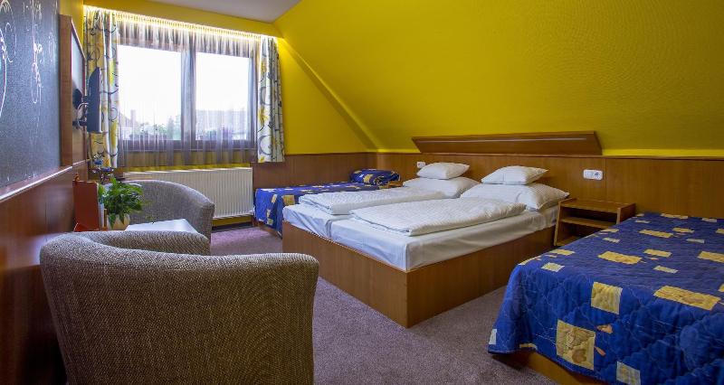 Hotel Mayer - Oda