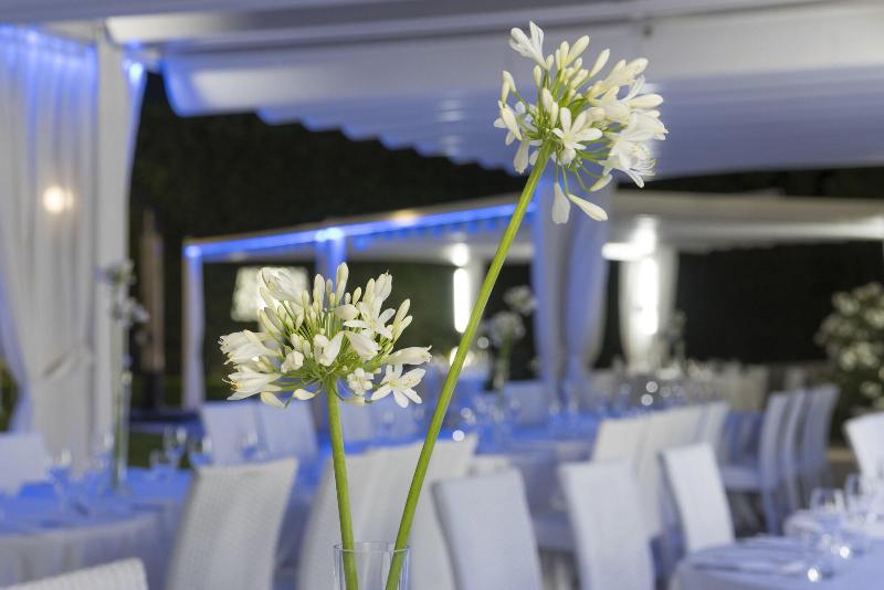 Grand Hotel Biffy - Genel