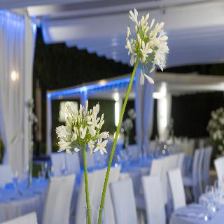Grand Hotel Biffy fotoÄŸrafÄ±