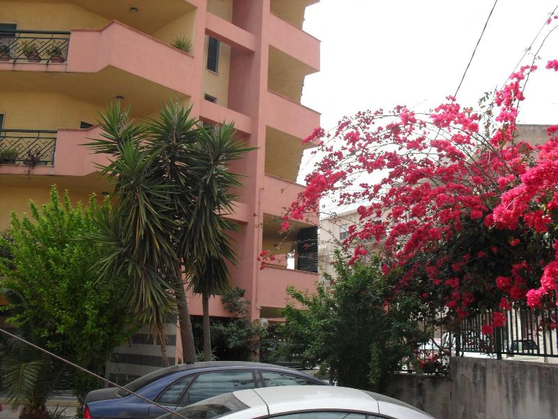 B&B Agave - Genel