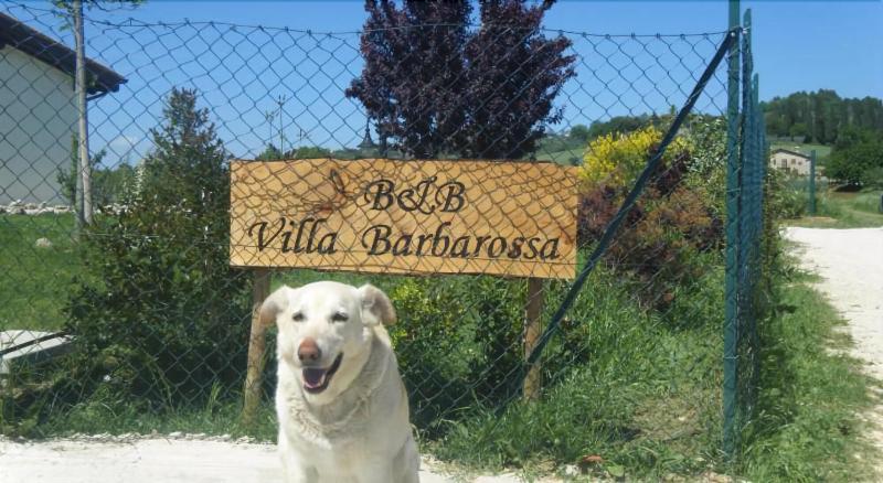 B&B Villa Barbarossa - Genel